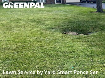 Yard Cutting nearby Glen Ellyn, IL, 