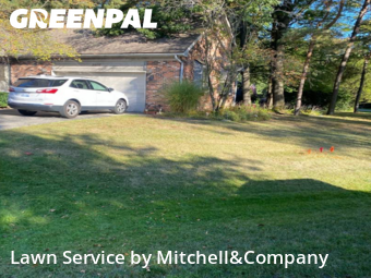 Yard Grooming in Waterford Township, 48329, Yard Management by Mitchell&Company, work completed in Oct , 2025