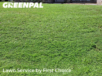 Lawn Mow nearby Palm Coast, FL, 