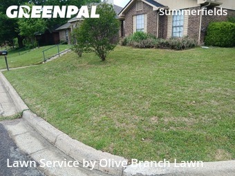 Grass Cut nearby Fort Worth, TX, 