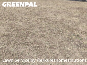 Lawn mowing work completed in Imperial Beach, CA