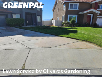 Work completed by lawn-care-experts-in-Palmdale-CA
