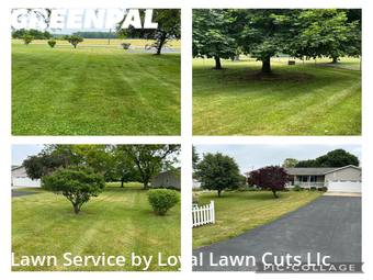 Yard Cutting nearby Vermilion, OH, 