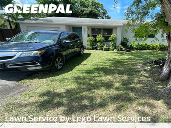 Grass Cut nearby Hollywood, FL, 