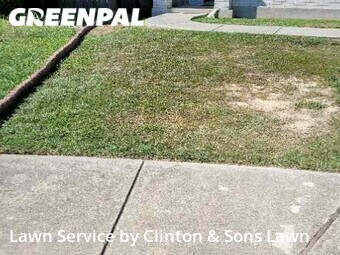 Lawn Mowing Service nearby San Antonio, TX, 