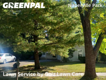 Lawn Cutin Naperville,60565,Lawn Service by Goiz Lawn Care, work completed in Dec , 2025