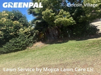 Lawn mowing work completed in Sacramento, CA