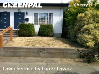 Lawn Service nearby Seattle, WA, 