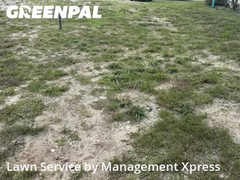 Lawn Maintenance nearby Matlacha, FL, 