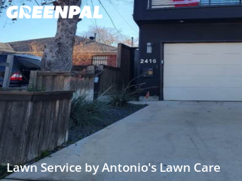 Yard Mowingin Dallas,75219,Grass Cut by Antonio's Lawn Care, work completed in Jan , 2026