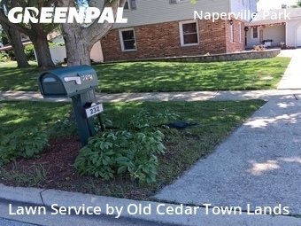 Lawn Cutting nearby Naperville, IL, 