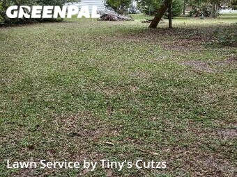Grass Cut nearby Valdosta, GA, 
