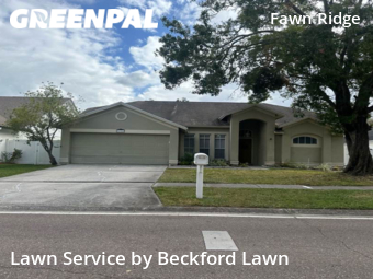 Grass Cut nearby Tampa, FL, 