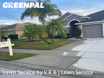 Lawn Mow nearby Holiday, FL, 