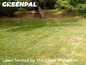 Lawn Service nearby Citrus Heights, CA, 