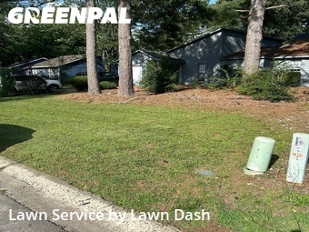 Lawn Care nearby Ellenwood, GA, 