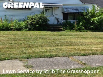 Lawn Service nearby Euclid, OH, 