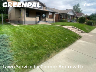 Yard Cutting nearby Denver, CO, 