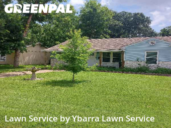 Weed Trimming in La Porte, 77571, Yard Work by Ybarra Lawn Service , work completed in Nov , 2025