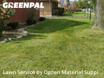 Lawn Mowing Service nearby Elmhurst, IL, 