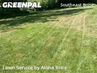 Lawn mowed in Boise, 83716
