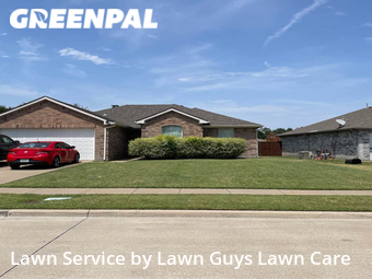 Lawn Mow nearby Forney, TX, 