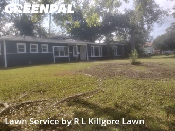 Grass Cut nearby Beaumont, TX, 