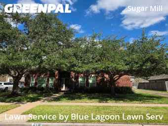 Yard Cuttingin Sugar Land,77498,Lawn Care by Blue Lagoon Lawn Serv, work completed in Dec , 2025