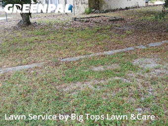 Yard Mowingin Winter Springs,32708,Yard Cutting by Big Tops Lawn &Care, work completed in Dec , 2025