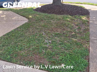 Lawn Care Service nearby Vienna, VA, 