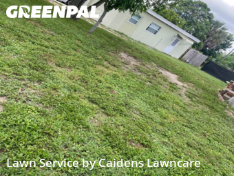 Turf Services in Riviera Beach, 33404, Yard Maintenance by Caidens Lawncare , work completed in Nov , 2025