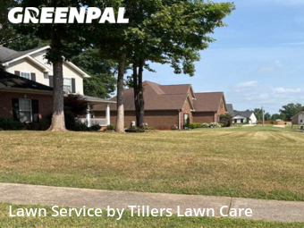 Lawn Cutting nearby Harvest, AL, 