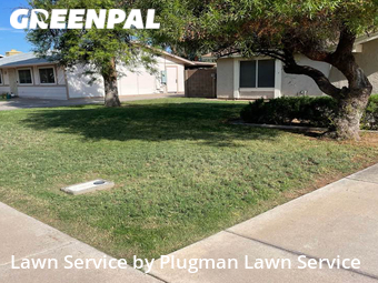 Lawn Mow nearby Chandler, AZ, 