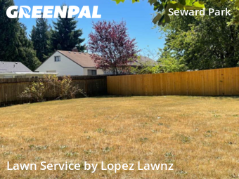 Yard Cutting in Burien, 98146, Weekly Mowing by Lopez Lawnz, work completed in Nov , 2025