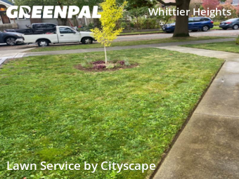 Yard Cutting nearby Seattle, WA, 