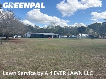 Grass Cut nearby New Port Richey, FL, 