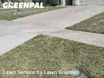 Grass Cut nearby Killeen, TX, 