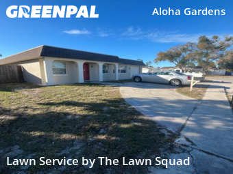 Lawn Maintenance nearby Holiday, FL, 