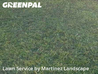 Yard Care in Eustis, 32726, Yard Services by Martinez Landscape, work completed in Nov , 2025