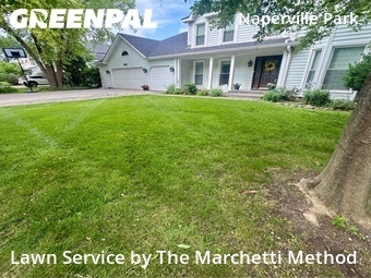 Grass Cut nearby Naperville, IL, 