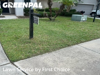 Lawn Care nearby St. Augustine, FL, 
