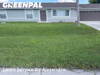 Grass Cut nearby Fort Myers, FL, 