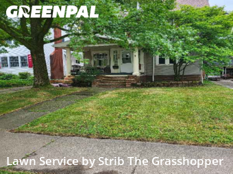 Lawn Maintenancein Lakewood,44107,Lawn Service by Strib The Grasshopper, work completed in Nov , 2025
