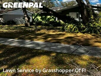 Grass Cut nearby Brandon, FL, 