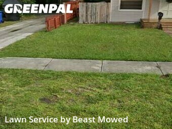 Grass Cutting nearby St. Petersburg, FL, 