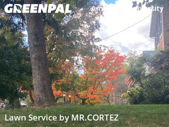 Yard Cutting nearby Washington, MD, 