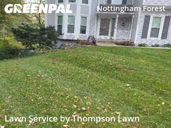 Mowing Services in Overland Park, 66213, Lawn Upkeep by Thompson Lawn, work completed in Nov , 2025