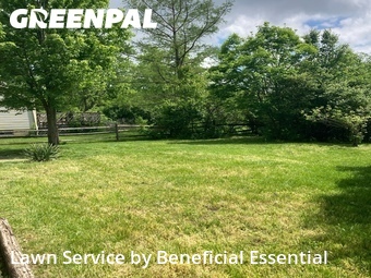 Lawn Cut nearby Fairfield, OH, 
