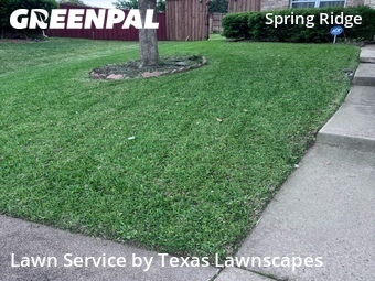 Lawn Service nearby Plano, TX, 