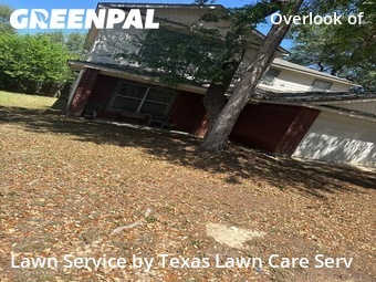 Grass Cut nearby San Antonio, TX, 
